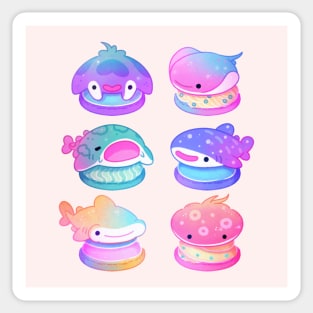 Sea macaron Sticker